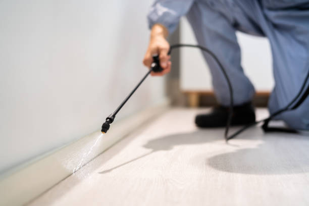 Rodent Entry Point Assessment in New Union