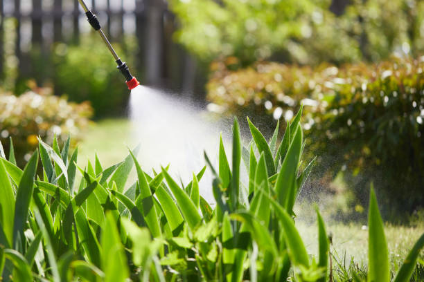 Tamper-Resistant Bait Stations for Rodents in New Union