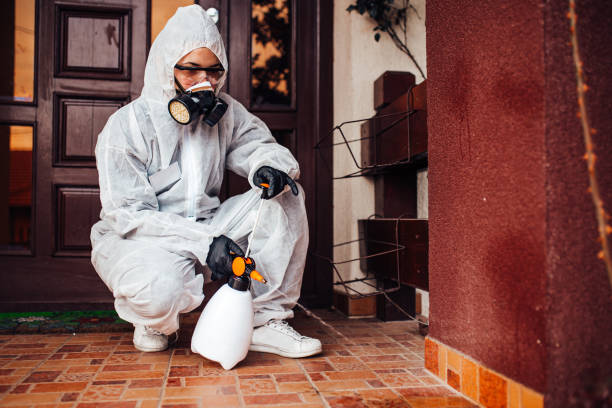 Attic and Crawl Space Rodent Treatment in New Union